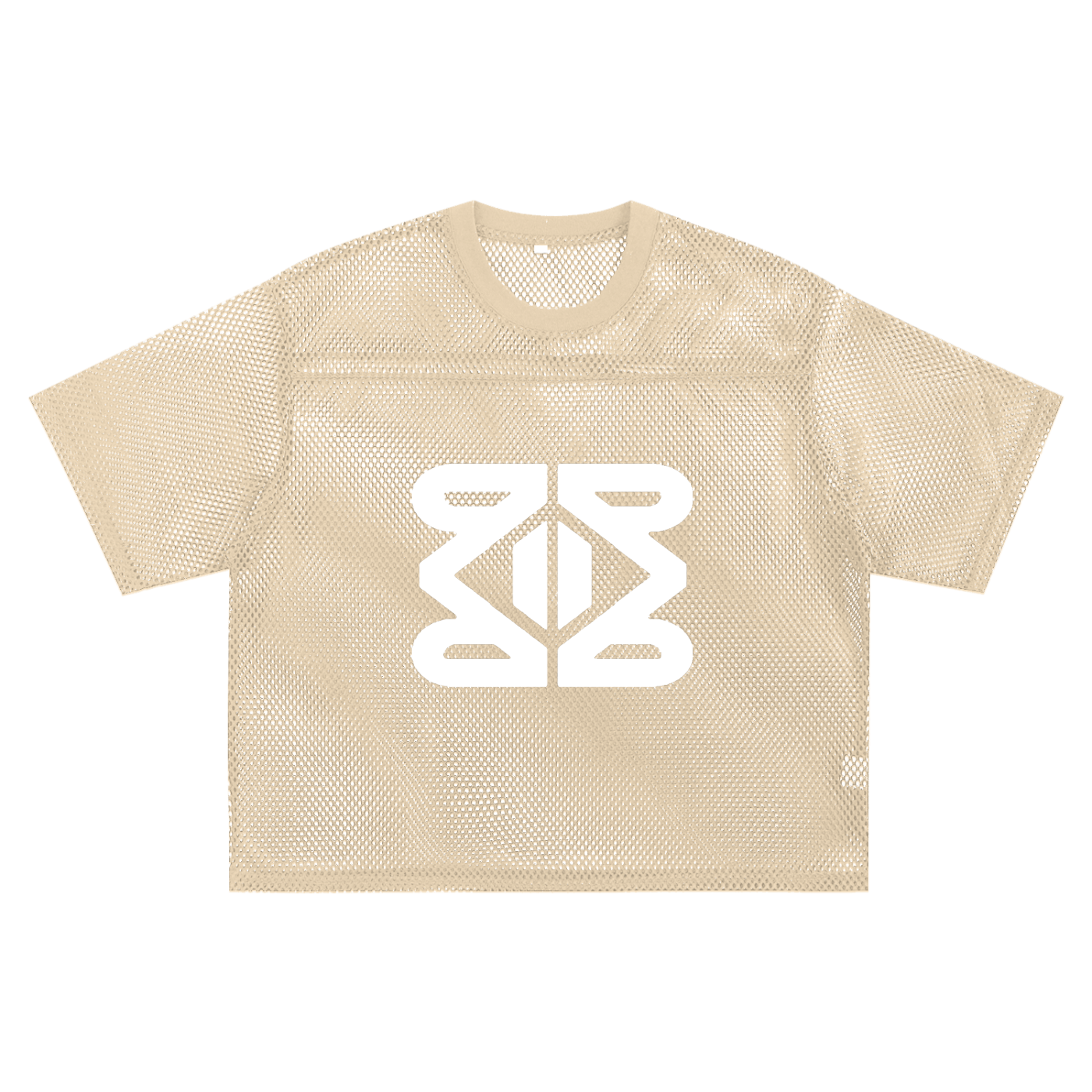 YM CARRAL + ALIEN MONEY  See-through Boxy Net T-Shirt